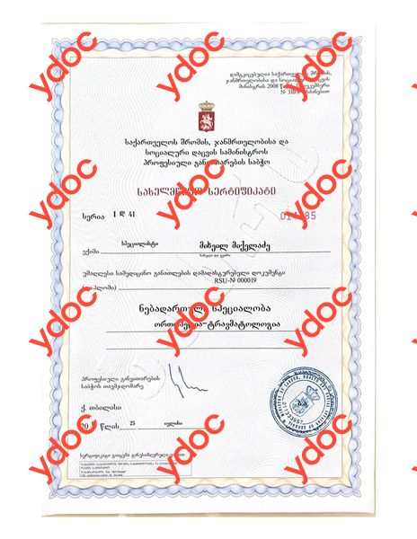 Документы и фотографии - Микеладзе М.
