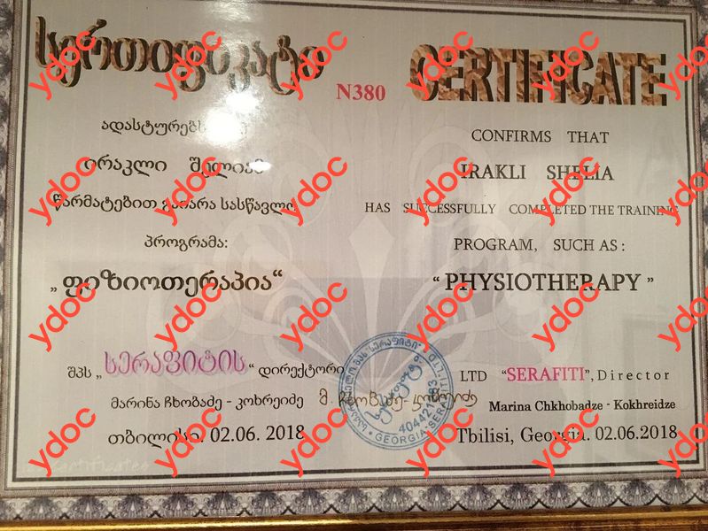 Документы и фотографии - Иракли Ш. М.