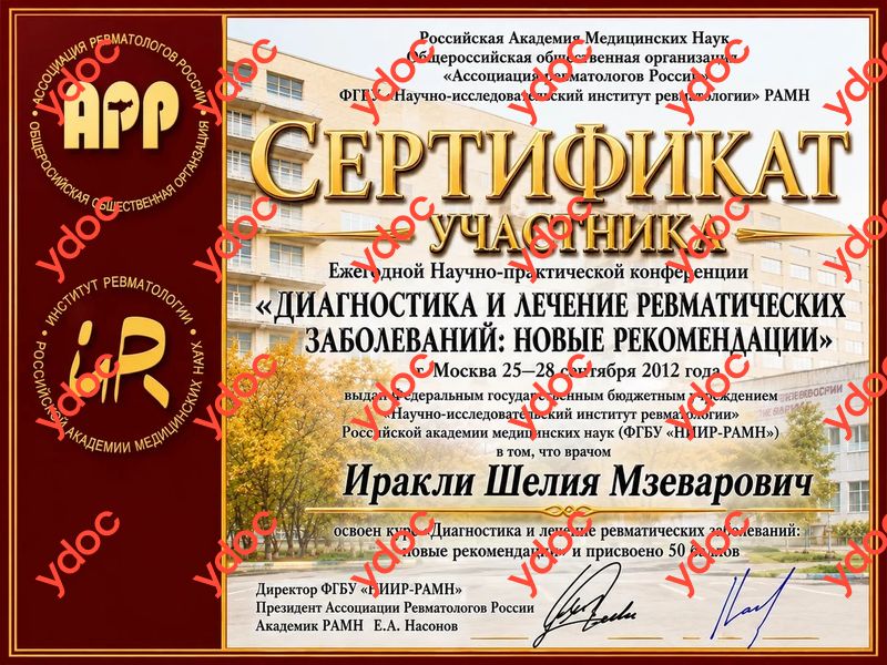 Документы и фотографии - Иракли Ш. М.