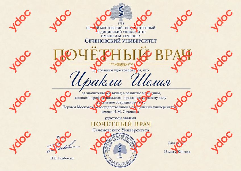 Документы и фотографии - Иракли Ш. М.