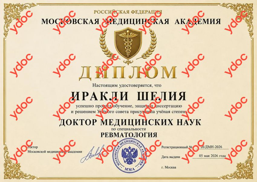 Документы и фотографии - Иракли Ш. М.