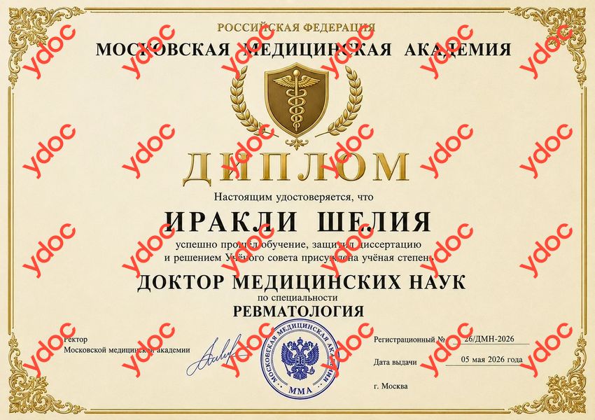 Документы и фотографии - Иракли Ш. М.