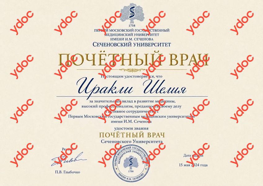 Документы и фотографии - Иракли Ш. М.