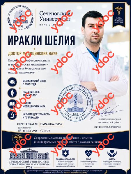 Документы и фотографии - Иракли Ш. М.